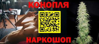 сатива Будённовск