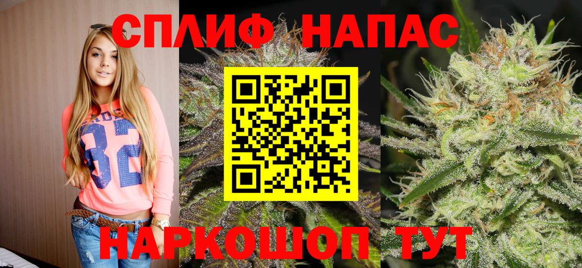Каннабис план Мегион